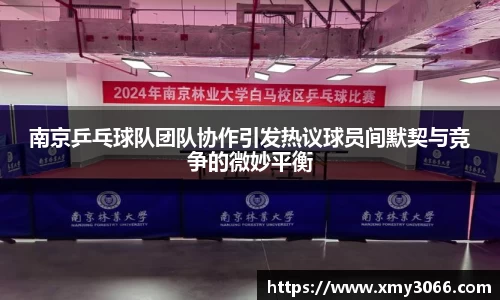 南京乒乓球队团队协作引发热议球员间默契与竞争的微妙平衡